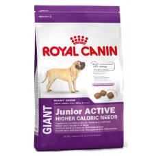 Royal Canin GIANT Junior Active (Сухой корм Роял Канин для крупных щенков с высоой энергетической активностью)
